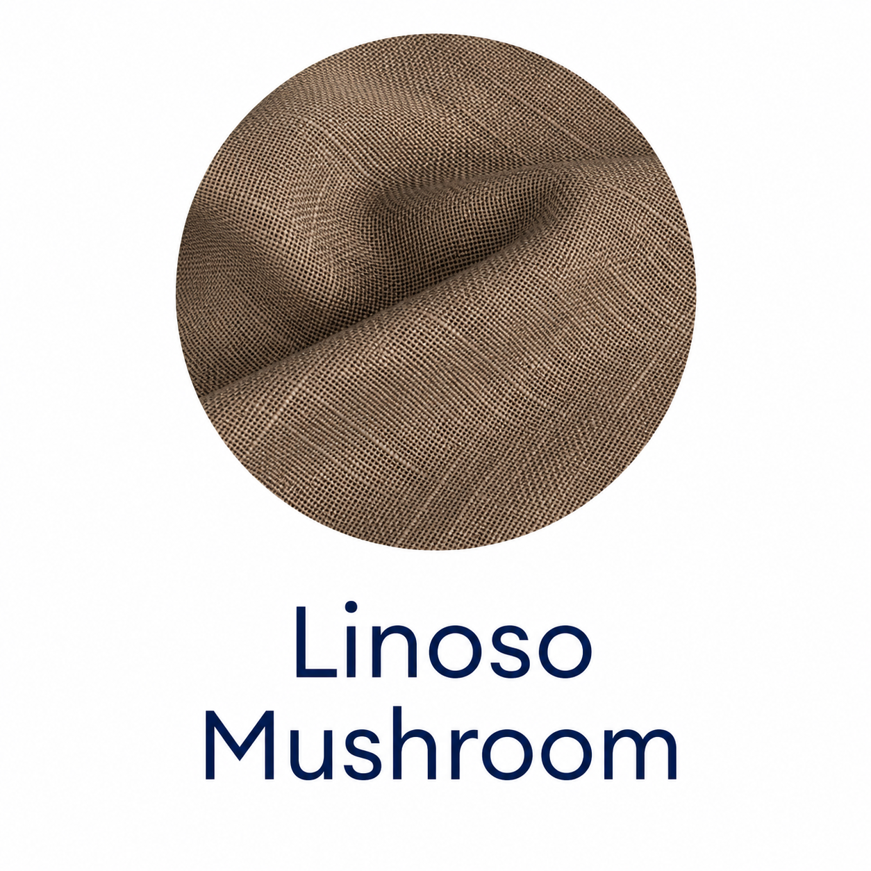 Linoso Mushroom